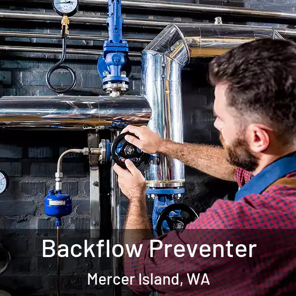  Backflow Preventer Mercer Island, WA