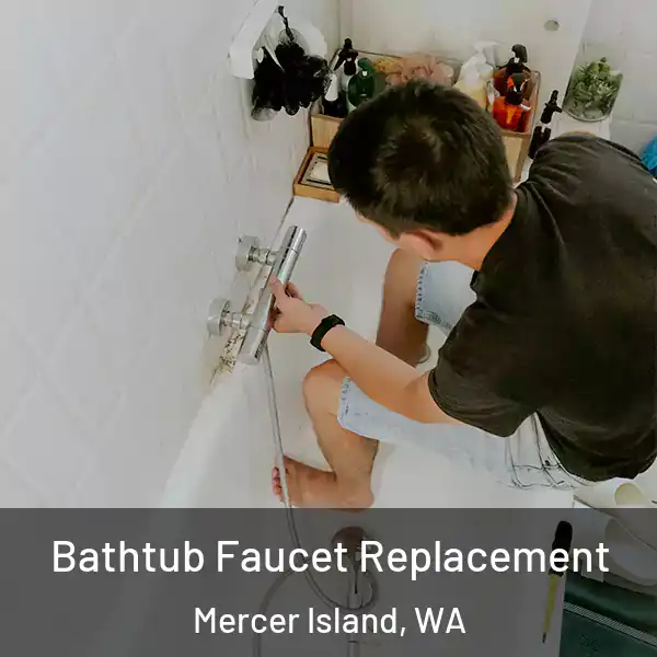 Bathtub Faucet Replacement Mercer Island, WA