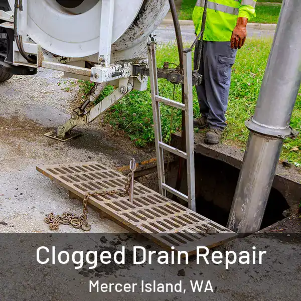  Clogged Drain Repair Mercer Island, WA