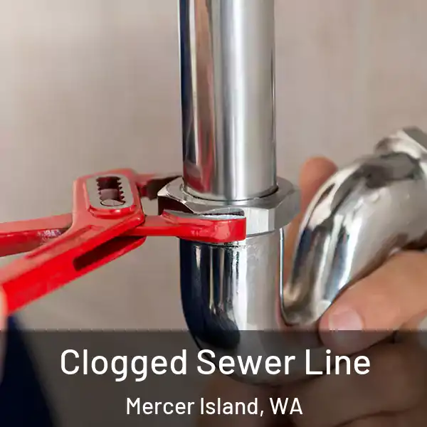  Clogged Sewer Line Mercer Island, WA