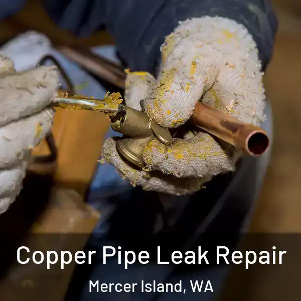  Copper Pipe Leak Repair Mercer Island, WA