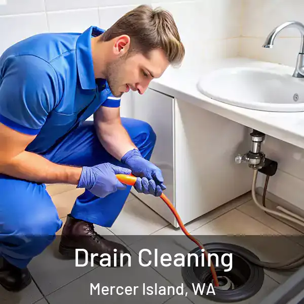  Drain Cleaning Mercer Island, WA