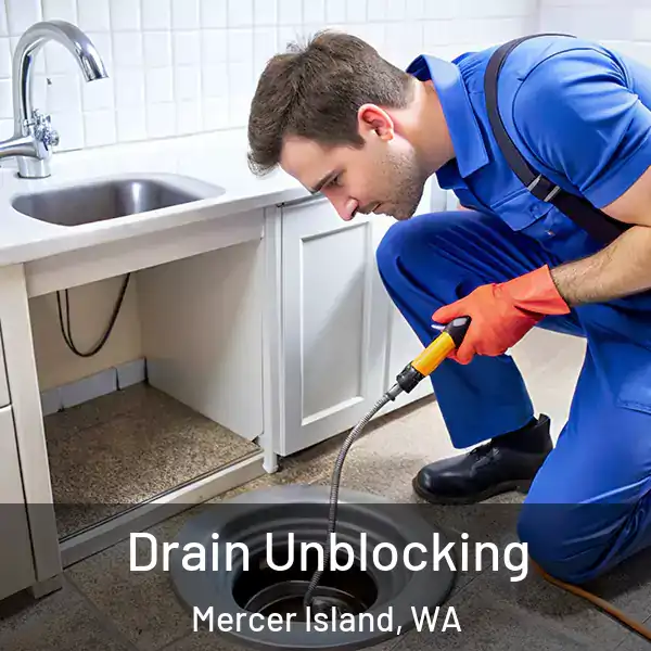  Drain Unblocking Mercer Island, WA