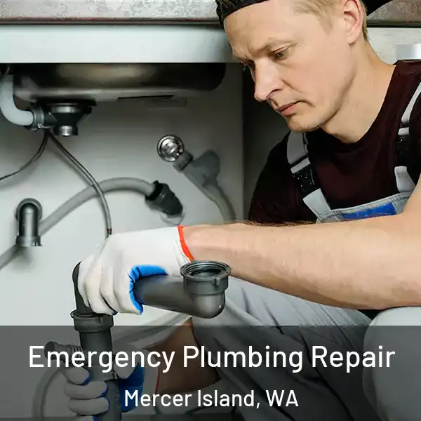  Emergency Plumbing Repair Mercer Island, WA