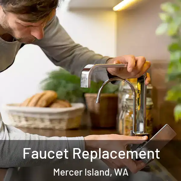  Faucet Replacement Mercer Island, WA
