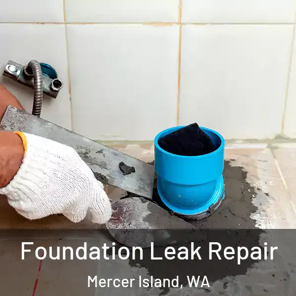  Foundation Leak Repair Mercer Island, WA