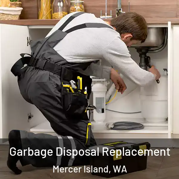  Garbage Disposal Replacement Mercer Island, WA