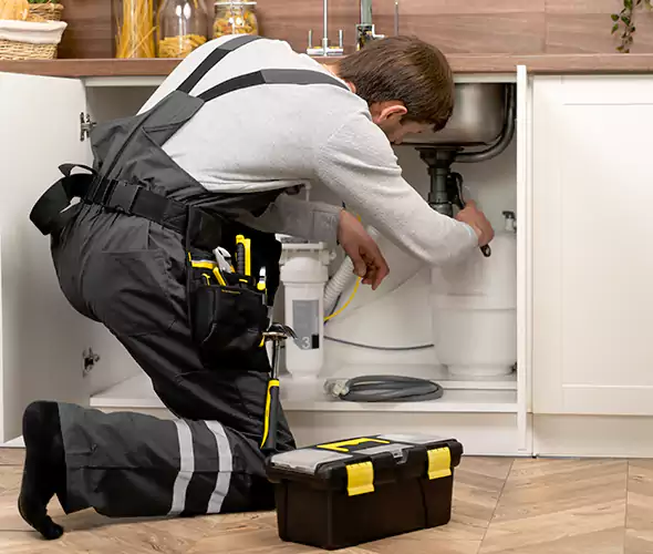Certified Plumbers for Insinkerator Installation in Mercer Island