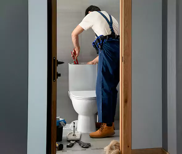 Professional Plumbers for Toilet Bowl Replacement in Mercer Island, WA: Schedule Affordable Toilet Replacement Services With Us