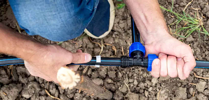 Irrigation Leak Detection in Mercer Island