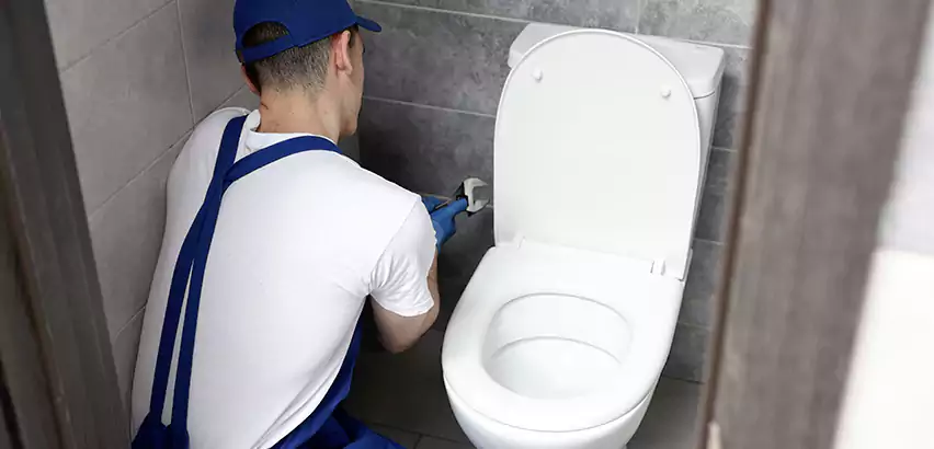 Toilet Lid Replacement in Mercer Island
