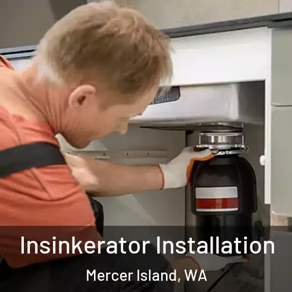  Insinkerator Installation Mercer Island, WA