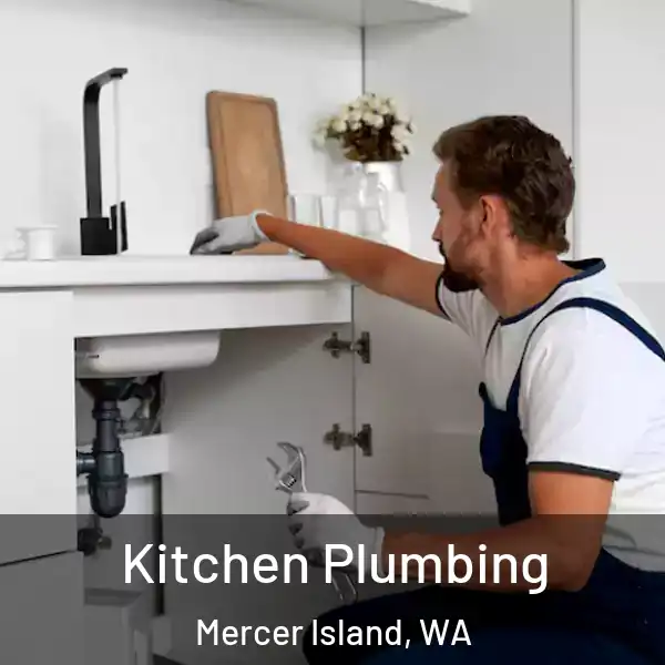  Kitchen Plumbing Mercer Island, WA