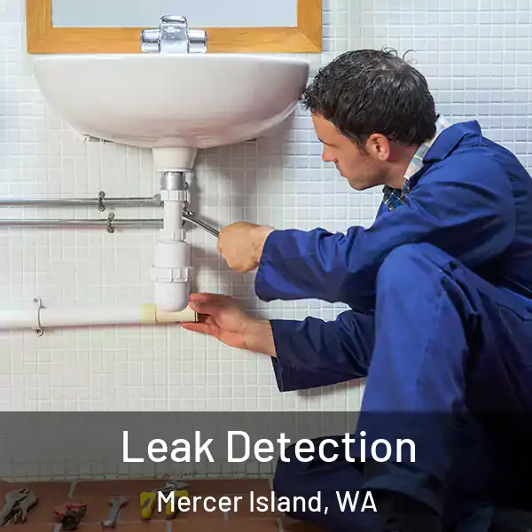  Leak Detection Mercer Island, WA