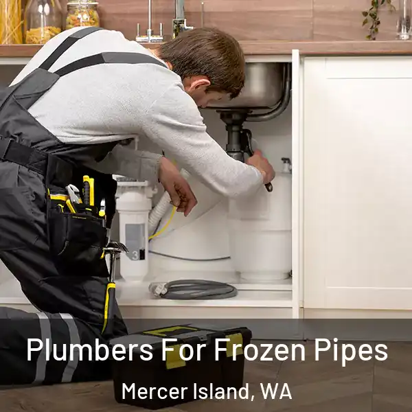  Plumbers For Frozen Pipes Mercer Island, WA