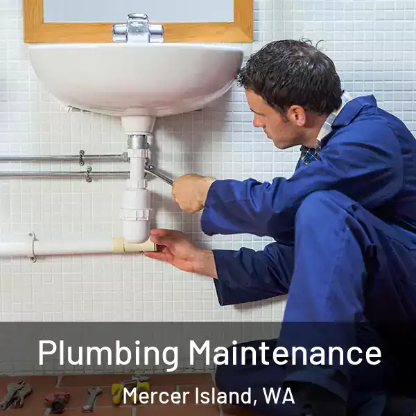  Plumbing Maintenance Mercer Island, WA