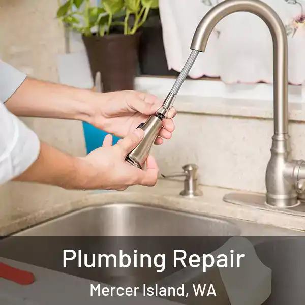  Plumbing Repair Mercer Island, WA