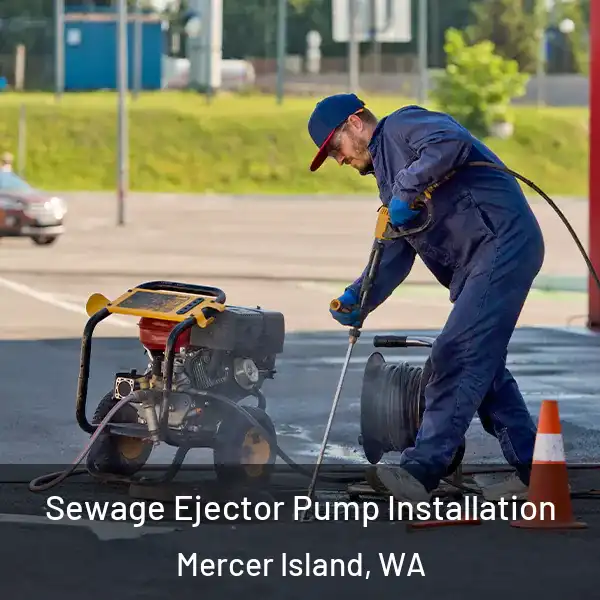  Sewage Ejector Pump Installation Mercer Island, WA