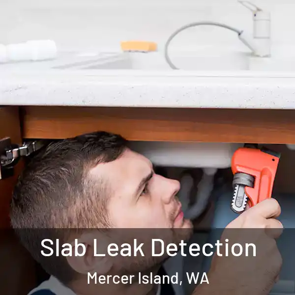  Slab Leak Detection Mercer Island, WA