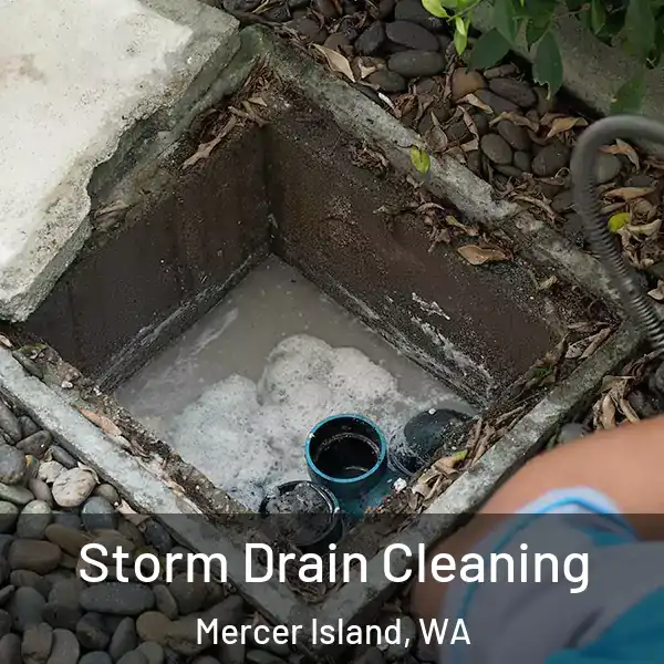  Storm Drain Cleaning Mercer Island, WA