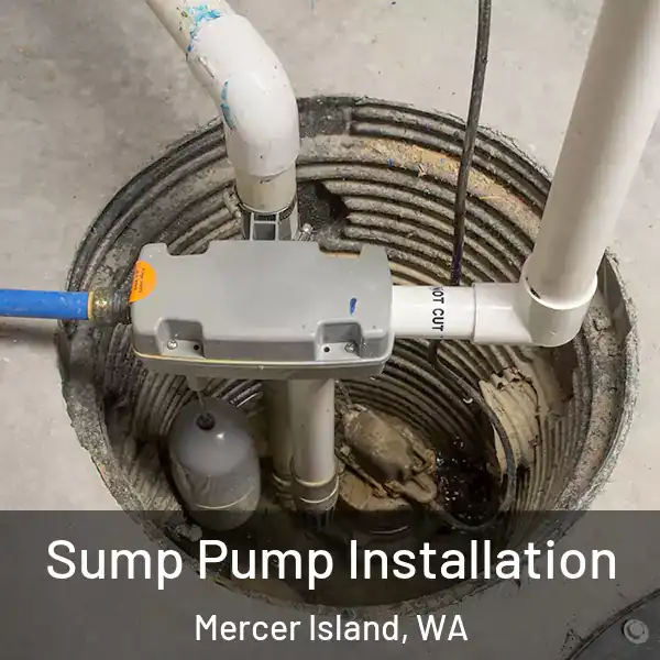  Sump Pump Installation Mercer Island, WA
