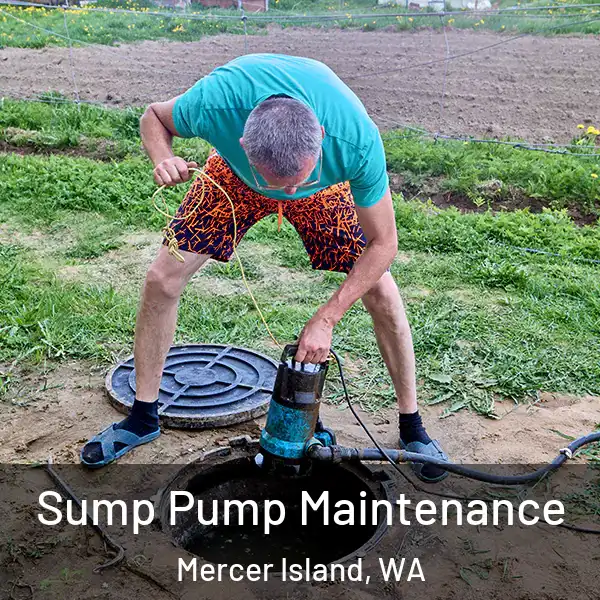  Sump Pump Maintenance Mercer Island, WA