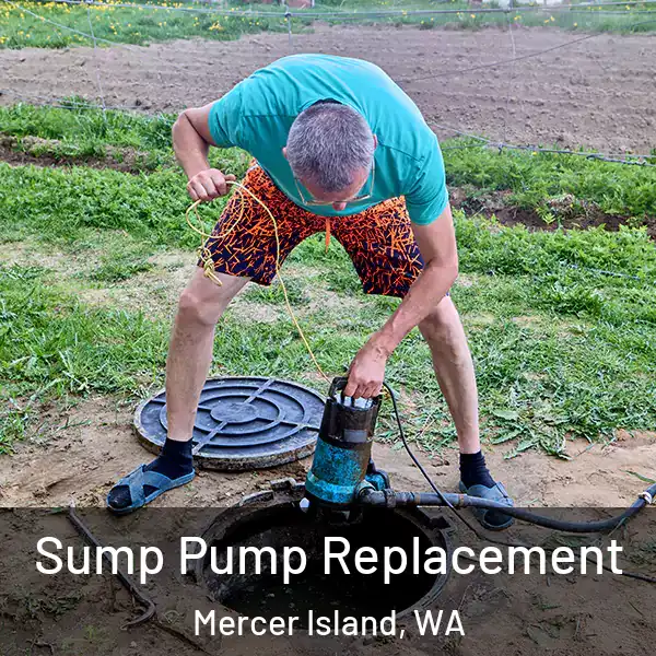  Sump Pump Replacement Mercer Island, WA