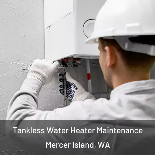  Tankless Water Heater Maintenance Mercer Island, WA