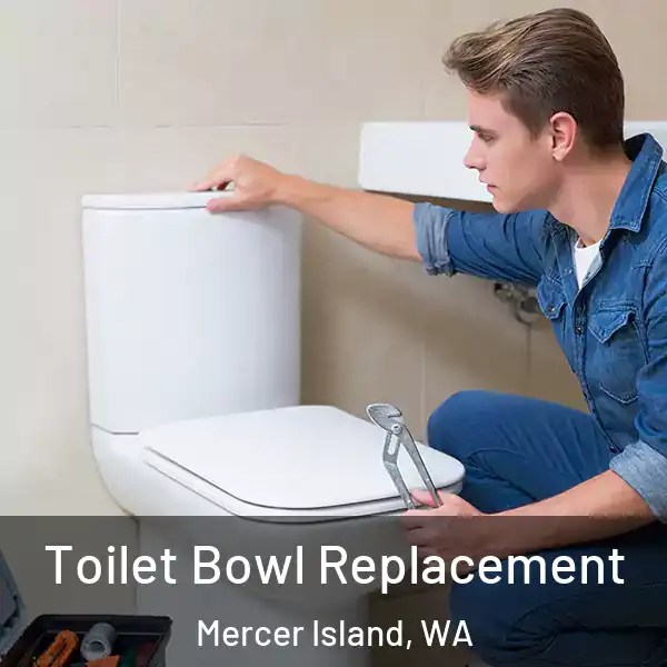  Toilet Bowl Replacement Mercer Island, WA