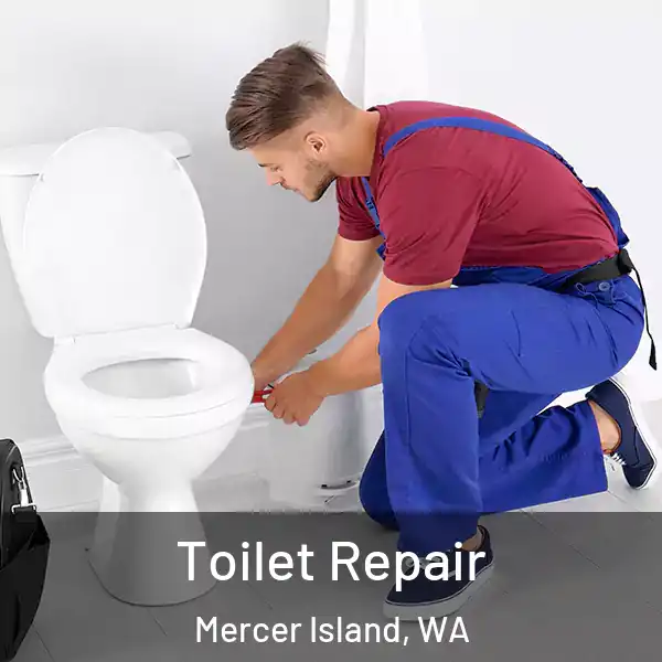 Toilet Repair Mercer Island, WA