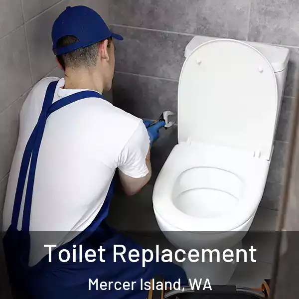  Toilet Replacement Mercer Island, WA