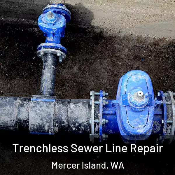  Trenchless Sewer Line Repair Mercer Island, WA