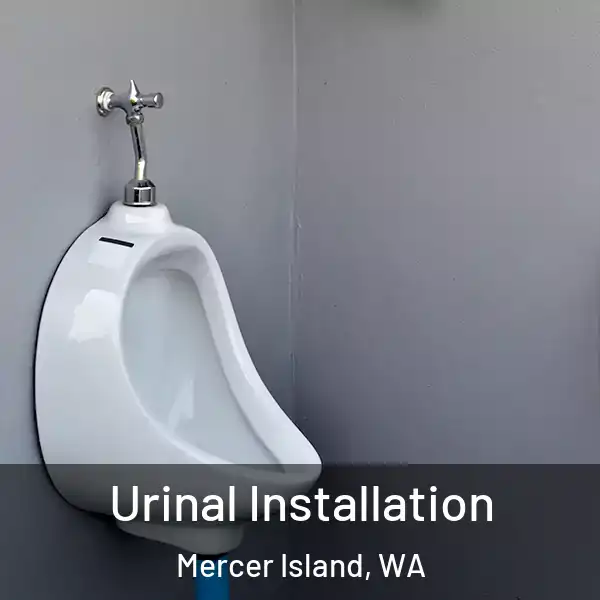  Urinal Installation Mercer Island, WA