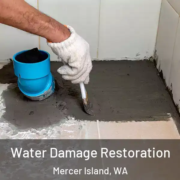  Water Damage Restoration Mercer Island, WA