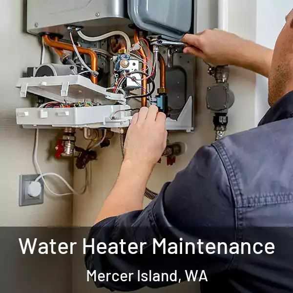  Water Heater Maintenance Mercer Island, WA