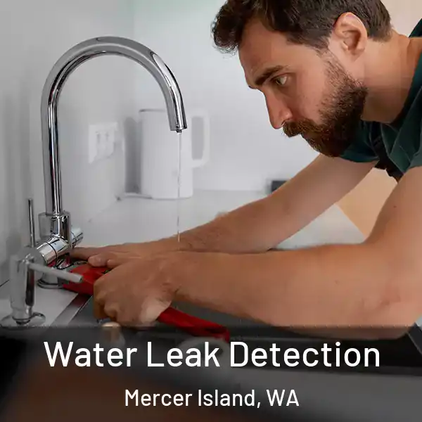  Water Leak Detection Mercer Island, WA