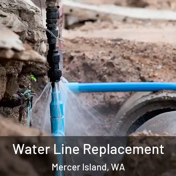  Water Line Replacement Mercer Island, WA