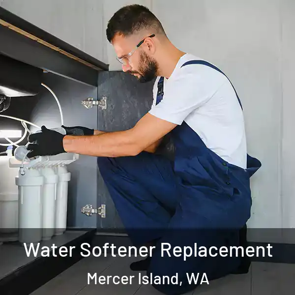  Water Softener Replacement Mercer Island, WA