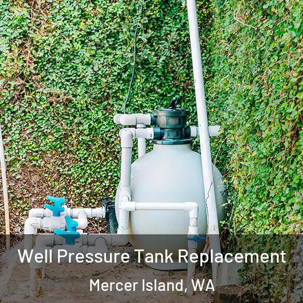  Well Pressure Tank Replacement Mercer Island, WA