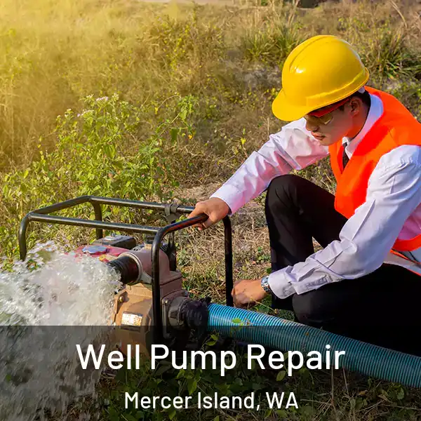  Well Pump Repair Mercer Island, WA