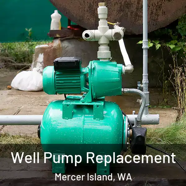  Well Pump Replacement Mercer Island, WA